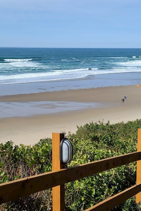A sunny ocean beach with rolling waves, sandy shore, a few people, lush greenery, and a wooden lookout railing overlooking it.