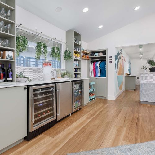A bright modern shop with a bar display of wine and glassware, hanging plants, shelves, and a reception counter with items.
