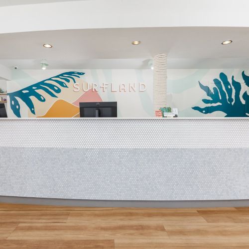 A reception desk in an office with ocean-themed mural reading &ldquo;SURELAND,&rdquo; two monitors, and a tall cat scratch post.